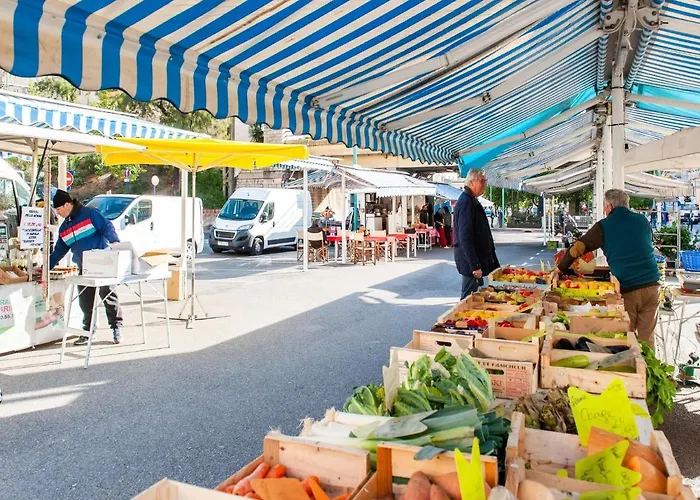 In With Balcony Terrace Appartement