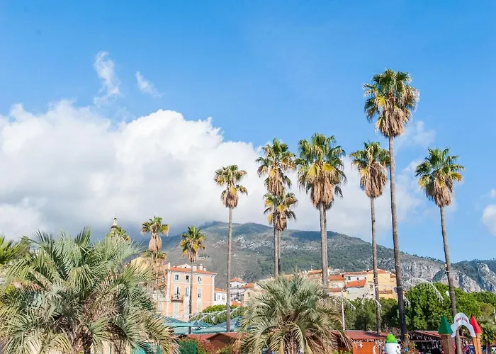 In With Balcony Terrace Apartamento