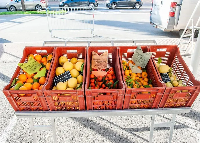 In With Balcony Terrace *